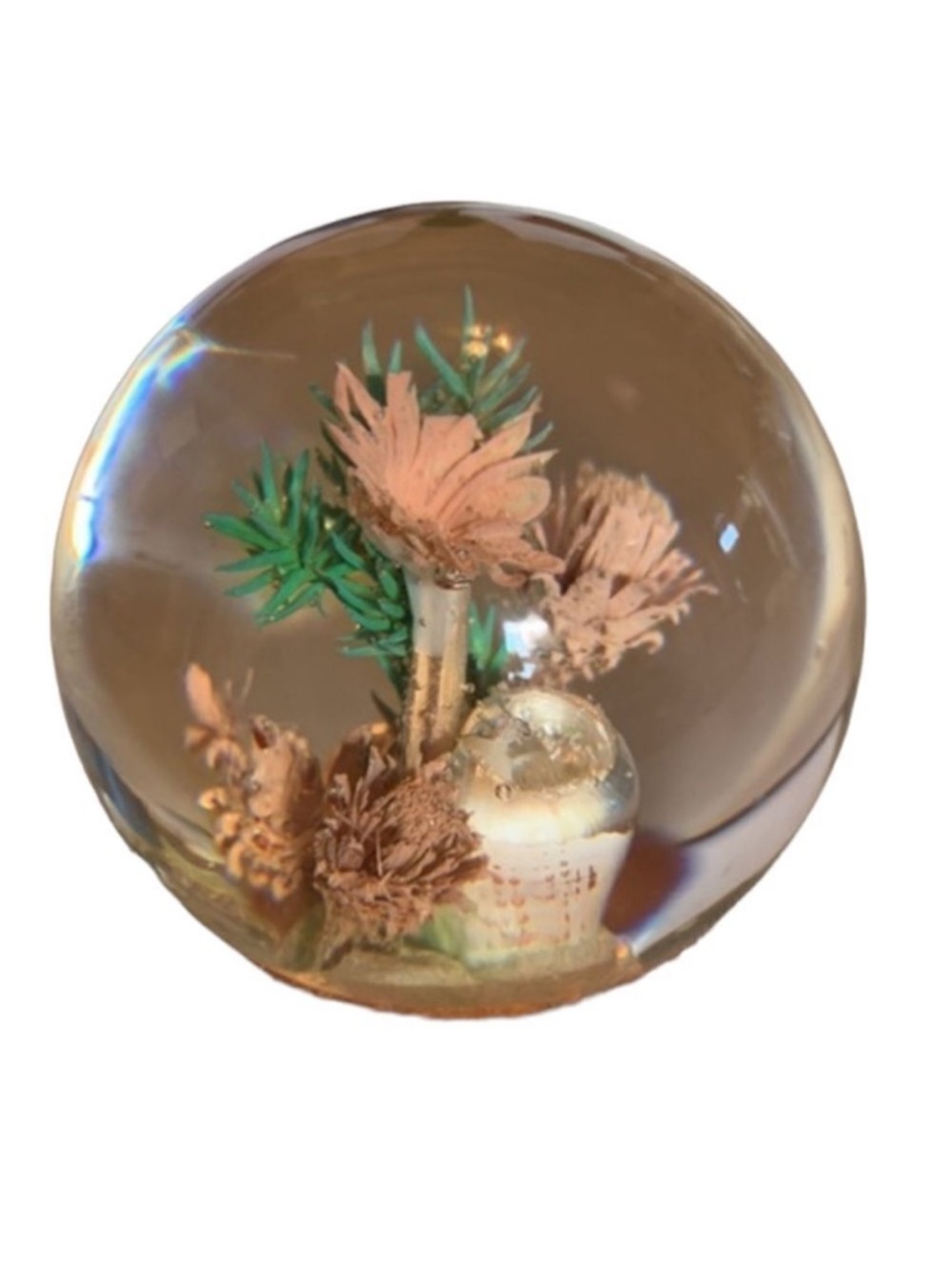 BOTANICAL Garden Vintage Lucite Paperweight 1.5”